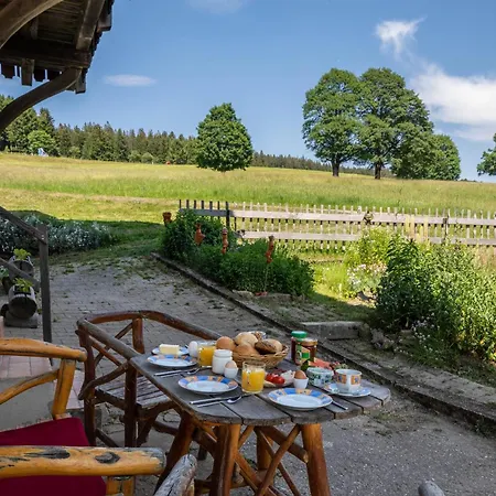 Apartamento Hansemichelhof Auf Dem Schauinsland *